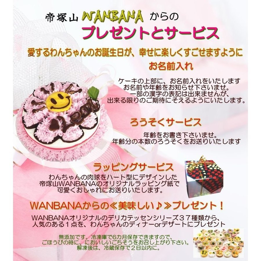 犬 ケーキ 名前入OK! 4号サイズ 無添加 馬肉とお野菜生地 ハニーブー お誕生日 バースデー 安心人気 おやつ お祝い ギフト 贈り物 ペット ドッグ わんこ 記念 口コミ かわいい 帝塚山ワンバナ 6600円以上送料無料