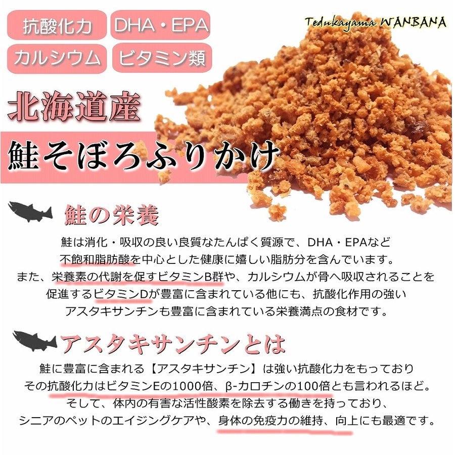 犬猫用のふりかけ パワーの源 鮭40gお試しサイズ そのまま食べてもOK!ごはんのトッピングにも!ヒューマングレードの国産天然サケ使用 アレルギー対応 パラパラ振りかけるだけ!簡単手作り食フードやスープで水分補給に!低カロリー高タンパクで食欲アップ! ワンバナ