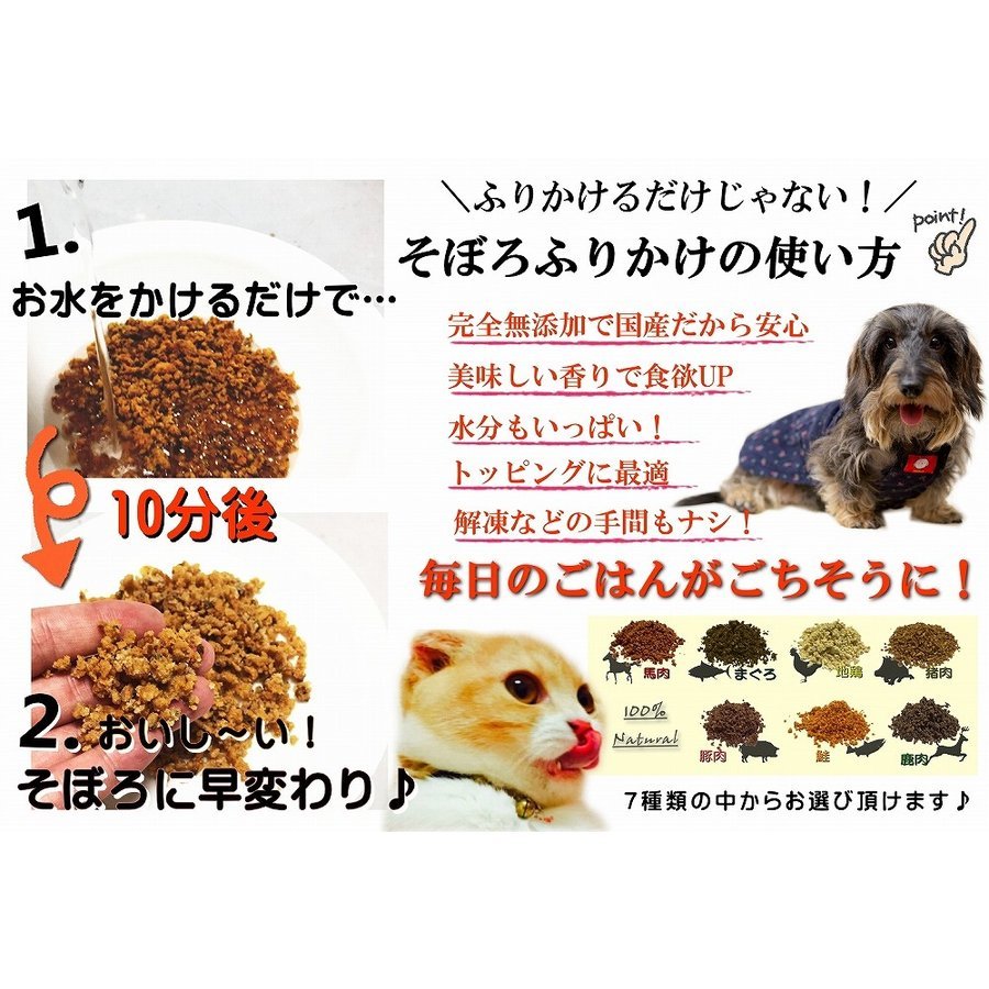 犬猫用のふりかけ パワーの源 鮭40gお試しサイズ そのまま食べてもOK!ごはんのトッピングにも!ヒューマングレードの国産天然サケ使用 アレルギー対応 パラパラ振りかけるだけ!簡単手作り食フードやスープで水分補給に!低カロリー高タンパクで食欲アップ! ワンバナ