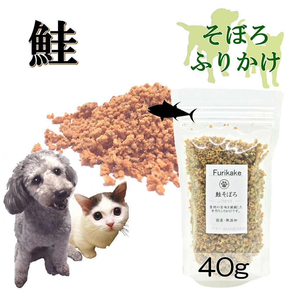 犬猫用のふりかけ パワーの源 鮭40gお試しサイズ そのまま食べてもOK!ごはんのトッピングにも!ヒューマングレードの国産天然サケ使用 アレルギー対応 パラパラ振りかけるだけ!簡単手作り食フードやスープで水分補給に!低カロリー高タンパクで食欲アップ! ワンバナ