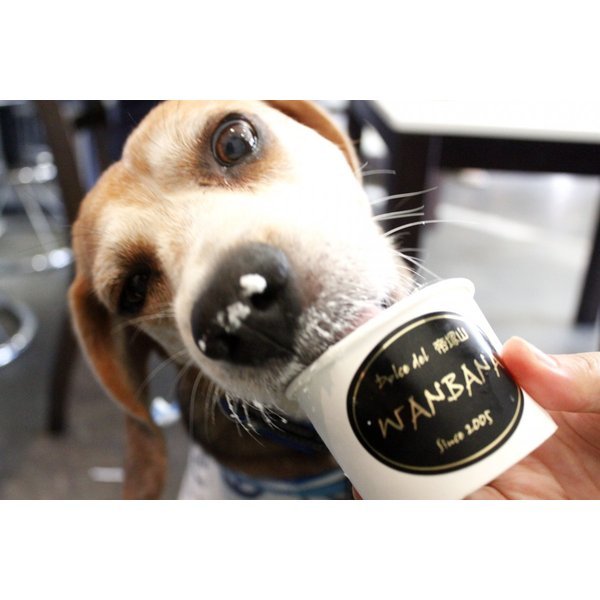 犬のアイスシャーベット6種類70gセットいちご・バナナ・りんご・キウイ・にんじん・かぼちゃ無添加お得セット暑い熱中症対策食欲不振夏バテ体温調節フルーツ果物野菜ひんやり冷たい贈り物ギフトプレゼントアレルギー対応6600円以上送料無料ワンバナ