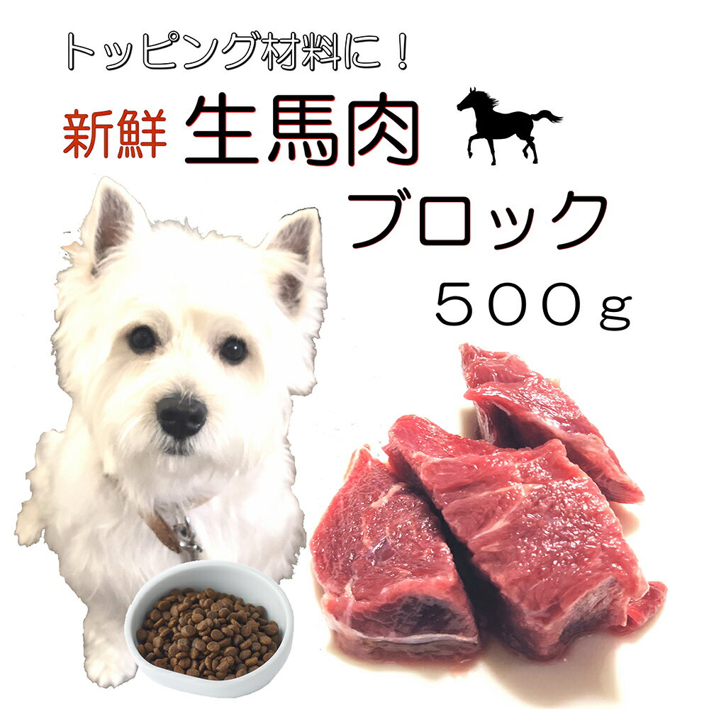 犬用の手作りごはん 厳選！生きる力 新鮮生馬肉ブロック500g 低脂肪 高タンパク 健康に長生き毎日続けてもらえる価格設定トッピング 簡単レンチンOK 低脂肪の赤身 生食OKおやつジャーキー ドッグフード ウエット 皮膚の痒み 肥満 腎臓 パピーからシニア わんちゃん ワンバナ