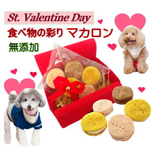 【バレンタイン】ペットが喜ぶ！犬用のバレンタインおやつは？