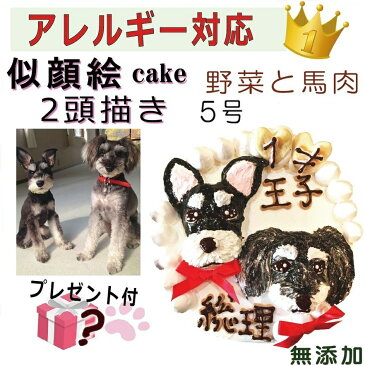 犬用の 似顔絵ドッグケーキ を立体に! 2頭描き 野菜と馬肉 生地 5号 誕生日に無添加で安心人気 バースデー 名前入れ おやつ お祝い オリジナル 記念 口コミ セット かわいい 小型犬 えさ ごはん ドッグ フード 帝塚山 WANBANA