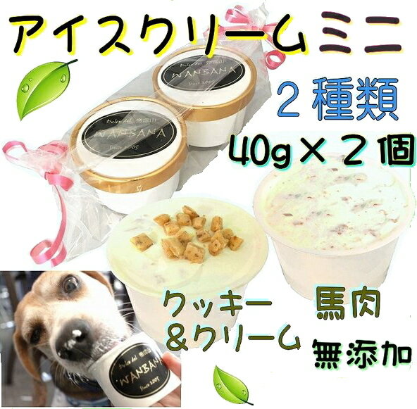 あす楽 犬用のアイスクリーム 馬肉チップとクッキークリームの2種類（ミニサイズ40g）セット 無添加 小型犬用Sサイズ 暑い。熱中症対策 食欲不振 夏バテ 体温調節 ひんやり 冷たい 贈り物 ギフト 贈り物 プレゼント アレルギー対応 6600円以上送料無料 ワンバナ