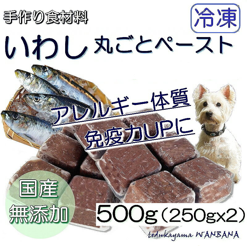 犬用厳選 包丁いらず調理済いわしペースト小分けトレー 500g/1パテ/40g 皮膚の痒み・免疫力 国産無添加 毎日続けられる価格設定トッピングごはんや手作り食に健康寿命をのばす 命と向き合う19…