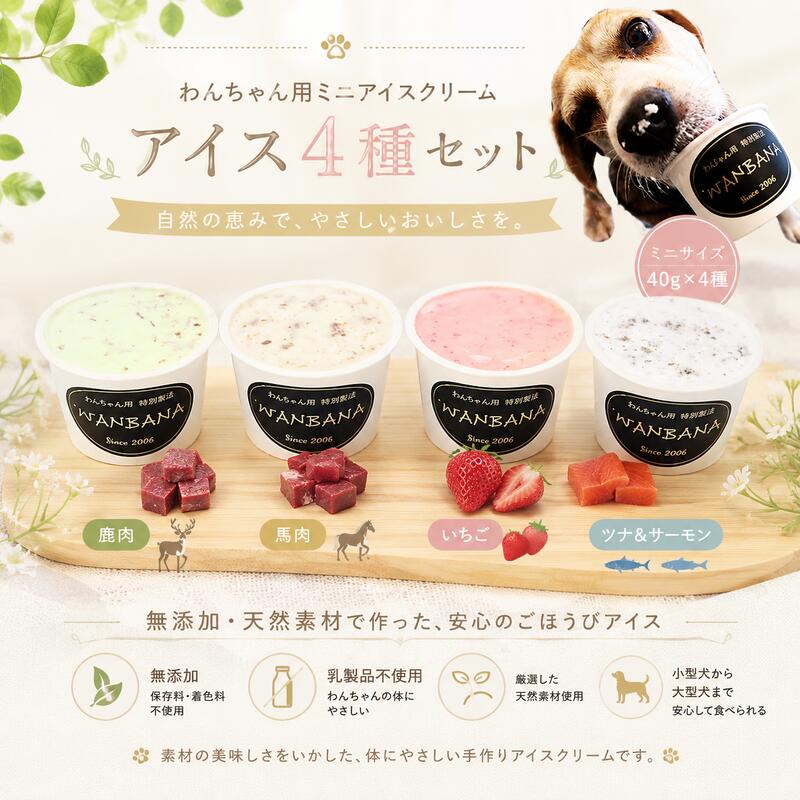 Ice Cream - 【送料無料】犬用アイス 無添加 4種類セット 40g×4個 馬肉・いちご・鹿肉・ツナ＆サーモン 人気 夏 おやつ ギフトに お中元 暑中見舞 冷凍 誕生日 プレゼント アレルギー対応