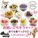 犬猫用のごはん お祝いごちそうセット/9種類のごはんやスイーツのお腹いっぱい幸せいっぱいごはん 愛犬のお祝いにごちそう無添加手作りフード ウェットタイプでパピー...