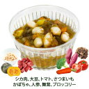 ペットフード WANPlus楽天市場店で買える「犬用のフード シカ肉と大豆のミネストローネ 無添加 手作りウェットごはん 誕生日・記念日のディナーやギフト にピッタリ!オシャレな幸せいっぱいご飯 ジビエ鹿肉たっぷり ヒューマングレード パピー?シニアまで 帝塚山WANBANA」の画像です。価格は770円になります。