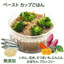 犬用カップごはん ペースト状イワシ雑炊 あす楽出荷OK!パピーからシニアまで大喜び!カンタン解凍レンチンOK!ごちそう国産無添加低カロリーでおやつにも わんちゃ...