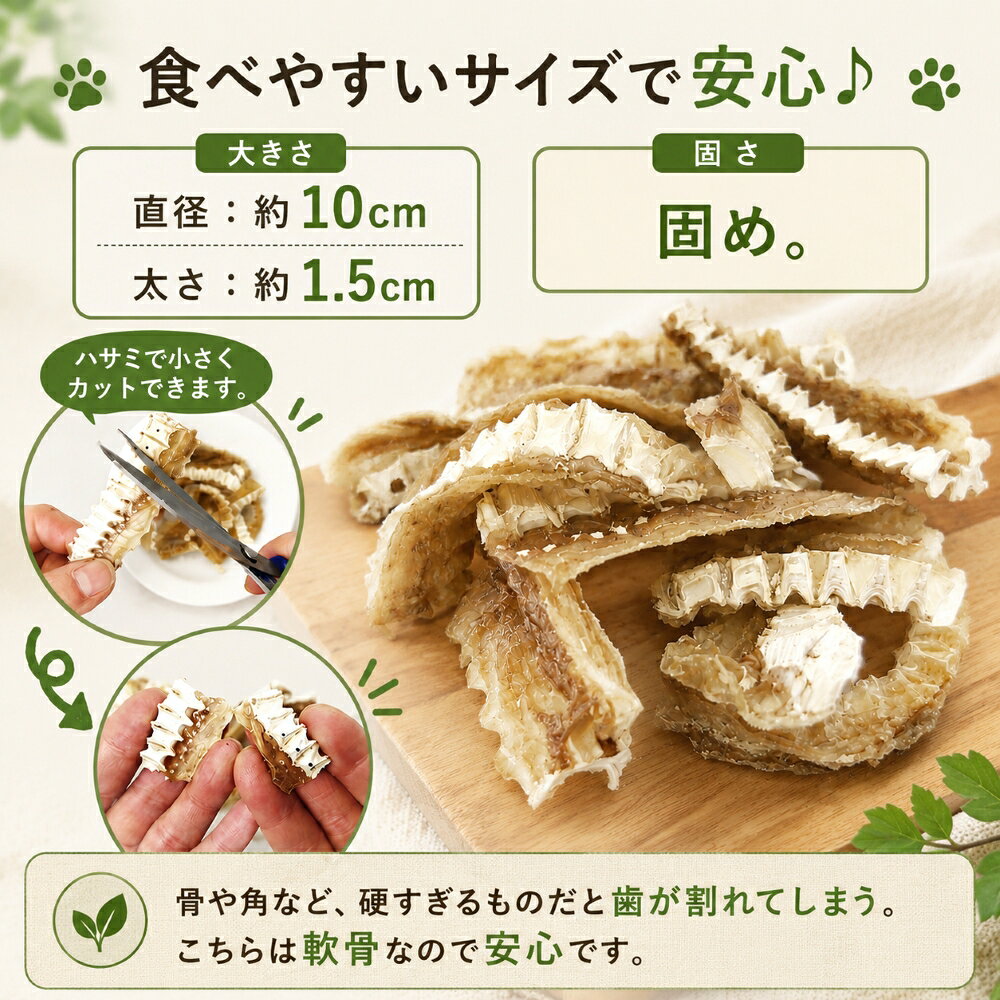 犬用の天然デンタルケアに！無漂白で安心サメ軟骨 お店で一番人気カルシウムいっぱいのおやつ/最強!海のめぐみ鮫 無添加 気仙沼産 骨密度！増！パピーからシニア老犬のグルコサミン・コラーゲンも！食塩不使用 低カロリー高たんぱく ダイエットのわんちゃんに 老舗ワンバナ wan-plus-10000294 ペットフード WANPlus楽天市場店 サンプル画像3