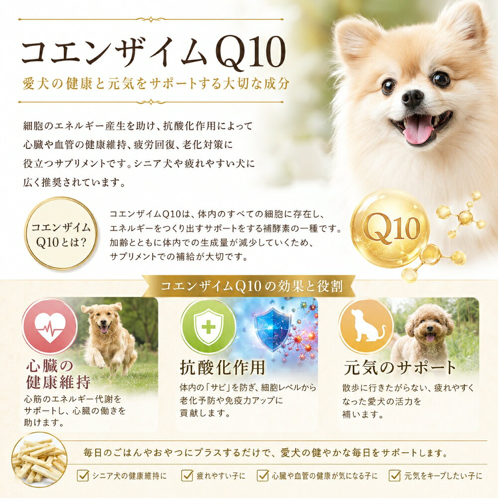 【送料無料】犬用おやつ 無添加 クッキー人気ベスト3種セット 馬肉・コエンザイムQ10・ビルベリー プロテイン配合 国産 手作り パピー～シニア犬におすすめ 柔らかいソフトタイプ 素材のほんのした甘味 砂糖・卵・バター一切不使用 創業21年安心と実績 帝塚山ワンバナ wan-plus-10000795 ペットフード WANPlus楽天市場店 サンプル画像3