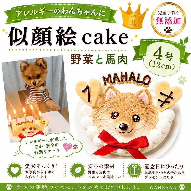 愛犬のお誕生日をもっと楽しく ケーキと一緒に贈りたい、人気のおもちゃ お誕生日プレゼントをもっと見る >> ケーキと一緒に楽しむごちそう お祝いの食卓を華やかにする犬用デリカ 犬用デリカをもっと見る >> ワンちゃんがおいしそうに食べている姿は、 ご家族にとっても幸せなひとときです。 ほかのお誕生日ケーキを見る 商品情報原材料・生 地：さつまいも,かぼちゃ,にんじん,馬肉・デコレーション：豆乳ホイップ,キャロブ粉,アセロラ粉末,黒ゴマペースト・クッキー：小麦粉,豆乳ホイップ,植物油(リノール酸,リノレン酸,オレイン酸),プロテイン・飾り：リボン賞味期限冷凍庫で2カ月（解凍後は冷蔵庫で2日）カロリー4号サイズ　：300kcal5号サイズ　：420kcal6号サイズ　：658kcal原産国日本配送方法クール冷凍便デコレーションデコレーションは、わんちゃん達のイメージや体毛の色で使用するものが若干異なりますが、あくまでも、無添加無着色！ 食物の素材の色で描きます。小麦粉にアレルギーがある場合クッキーを食べさせないでいただくとアレルギー除去食となります。お名前も可能な限りいたしますが、側面にお入れする場合もありますので、ご了承くださいませ。 画像のお送り先wan-plus_8@shop.rakuten.co.jp※メールの本文中に、ご注文者様名、わんちゃんのお名前、年齢をご明記下さい。また、「2頭描く」をご注文の方はそれぞれのわんちゃんとお名前が一致するようにお教え頂きますようお願い致します。ご不明な点がございましたら、TEL06-6671-2555までお気軽にお電話下さいませ。ご注意運送中の扱いによりケーキが壊れてしまう場合がございます。ご連絡をいただきましたら、お作り直しをさせていただきます。ご入り用の3〜4日前のお届けをお願いしております。また、お召し上がりになられる前日まで冷凍庫で保存していただきましたら、商品の品質には全く問題ございません。お召し上がりになられる前日より冷蔵庫に移して頂き、ゆっくりと時間をかけて解凍して頂くことを推奨しております。※急速な温度の変化により、ケーキにひび割れができることもございます。ご注意下さいませ。犬用の似顔絵ドッグケーキ SNS映え人気 無添加 バースデー 1頭描き/野菜と馬肉生地 5号サイズ直径15センチ大 誕生日やプレゼントギフトに 幸せいっぱい心のこもった記念日おやつ 特別なお祝い オーダー 口コミ かわいい 小中大型犬 えさ ごはん フード 帝塚山WANBANAワンバナ あの時の写真、この子たちの笑顔、その瞬間をわんちゃん用ケーキで再現します。アレルギー体質のわんちゃんにおすすめの野菜と馬肉を使用しています。最高の記念日をお楽しみ下さい。 バースデーケーキ！世界で一つの愛犬の似顔絵ケーキ あの時の 写真 この子たちの 笑顔その瞬間を 愛犬用ケーキ で再現いたします。帝塚山WANBANAではお客様のHAPPYを演出!お誕生日パーティーやお祝い・ギフトにおすすめです！ひとつひとつ手作業で、心を込めて！スタッフがわんちゃんのお顔を立体的に描きます。生地はペーストのお野菜と馬肉のみでお作りしました。お砂糖・卵・乳製品は一切使わず無添加です。4号サイズ（直径12cm)の丸型のホールケーキなので小さいわんちゃんも2〜3回に分けてお召し上がり頂けます。ケーキ上部に大きく似顔絵を立体的に描いています。お顔以外にも「お名前」「年齢」をお描きしています。御注文の際にお名前と年齢をご明記下さい。 無添加無着色でわんちゃんの健康と嗜好性を重視！ お誕生日パーティーやお祝い・ギフトにおすすめです！ ひとつひとつ手作業で、わんちゃんのお顔を立体的に！ 生地は馬肉とお野菜使用。食の細い愛犬も大喜び！ パピー犬〜シニア犬から幅広くお召し上がり頂けます。 スポンジケーキを食べないわんちゃんも大喜び！ こんにちは！店長の田中です。当店は、帝塚山WANBANAの正規販売店です。わんちゃんの健康や身体のメカニズムを熟知した、老舗ならではのこだわりがいっぱい！飼い主様目線では「キレイで可愛くて豪華！」わんちゃん目線では、「お代わりしたくなるほどの美味しさ！」きっとご満足いただけること間違いなしです。ワンバナは、ワンちゃんに,まごころこめて一つ一つ丁寧にお作りしています。老舗ならではの、安心感や高級感。ぜひ、お楽しみ下さい。わんちゃんにとって不要な添加物・着色料・調味料などは一切不使用です。卵を使えば簡単ですが、そこはこだわり、一切使用していません。食材は国産のものにこだわりました。わんちゃんたちも大喜び！喜んでいるわんちゃんの姿で思わず微笑んでしまいますね。1年に1度のご家族のみなさまにとってかけがえのない特別な日。皆様の笑顔と幸せ溢れるお時間には安心して与えることのできる、無添加犬用ケーキをお楽しみくださいませ！ ※只今、御注文が集中しており、通常よりお届けまでにお時間を頂いております。　　　　　　こちらの愛犬用似顔絵ケーキは一つ一つ手作業で丹精込めてお作りしております。ご注文頂き、お写真確認後、ご到着まで近畿、北陸、中部、関東、四国、中国地方は最短で6営業日頂いております。その他の地域は最短で6〜8営業日頂いております。到着希望日を上記日数よりも余裕をもってご注文頂くことをおすすめ致します。 1