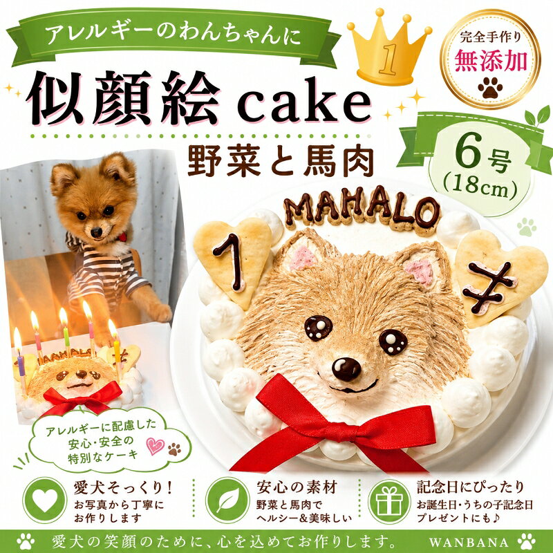 愛犬のお誕生日をもっと楽しく ケーキと一緒に贈りたい、人気のおもちゃ お誕生日プレゼントをもっと見る >> ケーキと一緒に楽しむごちそう お祝いの食卓を華やかにする犬用デリカ 犬用デリカをもっと見る >> ワンちゃんがおいしそうに食べている姿は、 ご家族にとっても幸せなひとときです。 ほかのお誕生日ケーキを見る 商品情報原材料・生 地：さつまいも,かぼちゃ,にんじん,馬肉・デコレーション：豆乳ホイップ,キャロブ粉,アセロラ粉末,黒ゴマペースト・クッキー：小麦粉,豆乳ホイップ,植物油(リノール酸,リノレン酸,オレイン酸),プロテイン・飾り：リボン賞味期限冷凍庫で2カ月（解凍後は冷蔵庫で2日）カロリー4号サイズ：300kcal5号サイズ：420kcal6号サイズ：658kcal原産国日本配送方法クール冷凍便デコレーションデコレーションは、わんちゃん達のイメージや体毛の色で使用するものが若干異なりますが、あくまでも、無添加無着色！ 食物の素材の色で描きます。小麦粉にアレルギーがある場合クッキーを食べさせないでいただくとアレルギー除去食となります。お名前も可能な限りいたしますが、側面にお入れする場合もありますので、ご了承くださいませ。 画像の送付先wan-plus_8@shop.rakuten.co.jp※メールの本文中に、ご注文者様名、わんちゃんのお名前、年齢をご明記下さい。また、「2頭描く」をご注文の方はそれぞれのわんちゃんとお名前が一致するようにお教え頂きますようお願い致します。ご不明な点がございましたら、TEL06-6671-2555までお気軽にお電話下さいませ。ご注意運送中の扱いによりケーキが壊れてしまう場合がございます。ご連絡をいただきましたら、お作り直しをさせていただきます。ご入り用の3〜4日前のお届けをお願いしております。また、お召し上がりになられる前日まで冷凍庫で保存していただきましたら、商品の品質には全く問題ございません。お召し上がりになられる前日より冷蔵庫に移して頂き、ゆっくりと時間をかけて解凍して頂くことを推奨しております。※急速な温度の変化により、ケーキにひび割れができることもございます。ご注意下さいませ。犬用の似顔絵ドッグケーキ SNS映え人気 無添加 バースデー 1頭描き 野菜と馬肉生地 6号サイズ直径18センチ大 誕生日やプレゼントギフトに 幸せいっぱい心のこもった記念日おやつ 特別なお祝い オーダー 口コミ かわいい 小中大型犬 えさ ごはん フード 創業21年老舗ワンバナ あの時の写真、この子たちの笑顔、その瞬間をわんちゃん用ケーキで再現します。画像を元に描きます。レビュー数も高く、人気のお誕生日ケーキです。最高のお誕生日をお楽しみ下さい。 バースデーケーキ！世界で一つの愛犬の似顔絵ケーキ あの時の写真、この子たちの笑顔、その瞬間を愛犬用ケーキで再現いたします。帝塚山WANBANAではお客様のHAPPYを演出！お誕生日パーティーやお祝い・ギフトにおすすめです！ひとつひとつ手作業で、心を込めて！スタッフがわんちゃんのお顔を立体的に描きます。生地はペーストのお野菜と馬肉でお作りしました。お砂糖・卵・乳製品は一切使わず無添加です。6号サイズ（直径18cm)の丸型のホールケーキなので大型犬やオフ会やパーティ・多頭飼いの方にもおすすめです。ケーキ上部に大きく似顔絵を立体的に描いています。お顔以外にも「お名前」「年齢」をお描きしています。御注文の際にお名前と年齢をご明記下さい。 無添加無着色でわんちゃんの健康と嗜好性を重視！ お誕生日パーティーやお祝い・ギフトにおすすめです！ ひとつひとつ手作業で、わんちゃんのお顔を立体的に！ 生地は馬肉とお野菜使用。食の細い愛犬も大喜び！ パピー犬〜シニア犬から幅広くお召し上がり頂けます。 スポンジケーキを食べないわんちゃんも大喜び！ こんにちは！店長の田中です。こちらの商品は老舗帝塚山WANBANAで人気の商品です。わんちゃんの健康や身体のメカニズムを熟知した、老舗ならではのこだわりがいっぱい！飼い主様目線では「キレイで可愛くて豪華！」わんちゃん目線では、「おかわりしたくなるほどの美味しさ！」きっとご満足いただけること間違いなしです。ワンバナはワンちゃんに, まごころこめて一つ一つ丁寧にお作りしています。老舗ならではの、安心感や高級感。ぜひ、お楽しみ下さい。わんちゃんにとって不要な添加物・着色料・調味料などは一切不使用です。卵を使えば簡単ですが、そこはこだわり、一切使用していません。食材は国産のものにこだわりました。わんちゃんたちも大喜び！喜んでいるわんちゃんの姿で思わず微笑んでしまいますね。1年に1度のご家族のみなさまにとってかけがえのない特別な日。皆様の笑顔と幸せ溢れるお時間には安心して与えることのできる、無添加犬用ケーキをお楽しみくださいませ！ ※只今、御注文が集中しており、通常よりお届けまでにお時間を頂いております。　　　　　　こちらの愛犬用似顔絵ケーキは一つ一つ手作業で丹精込めてお作りしております。ご注文頂き、お写真確認後、ご到着まで近畿、北陸、中部、関東、四国、中国地方は最短で6営業日頂いております。その他の地域は最短で6〜8営業日頂いております。到着希望日を上記日数よりも余裕をもってご注文頂くことをおすすめ致します。 1