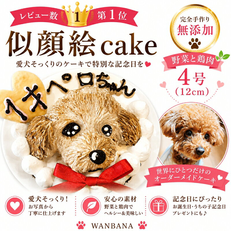 ささみ・野菜ベースの甘くないケーキ