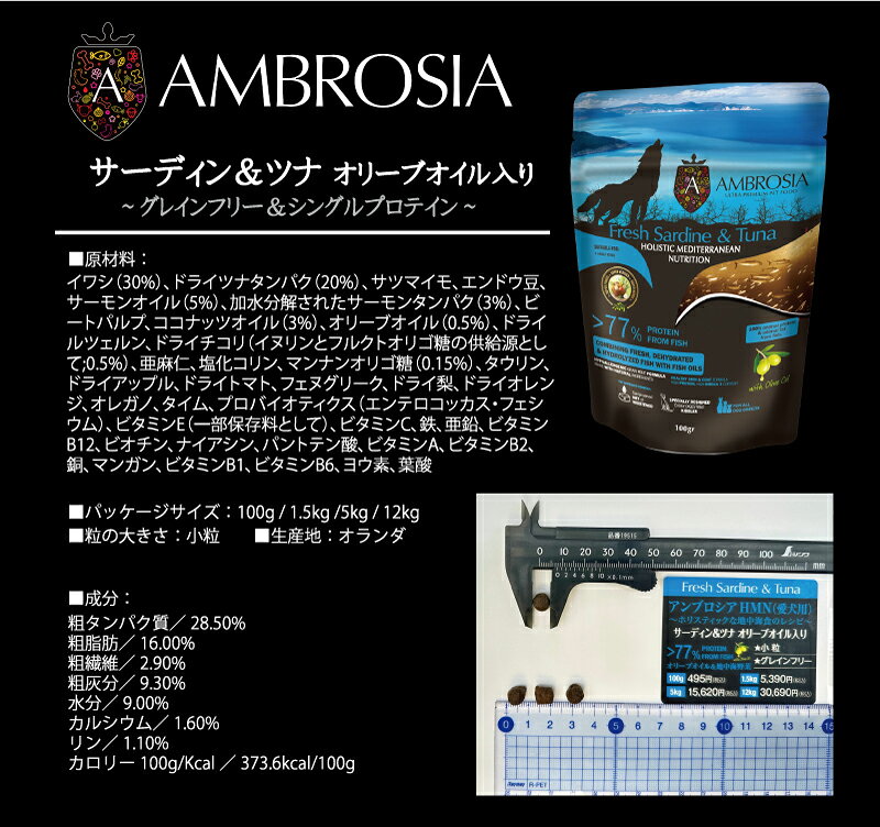 サンプル画像3