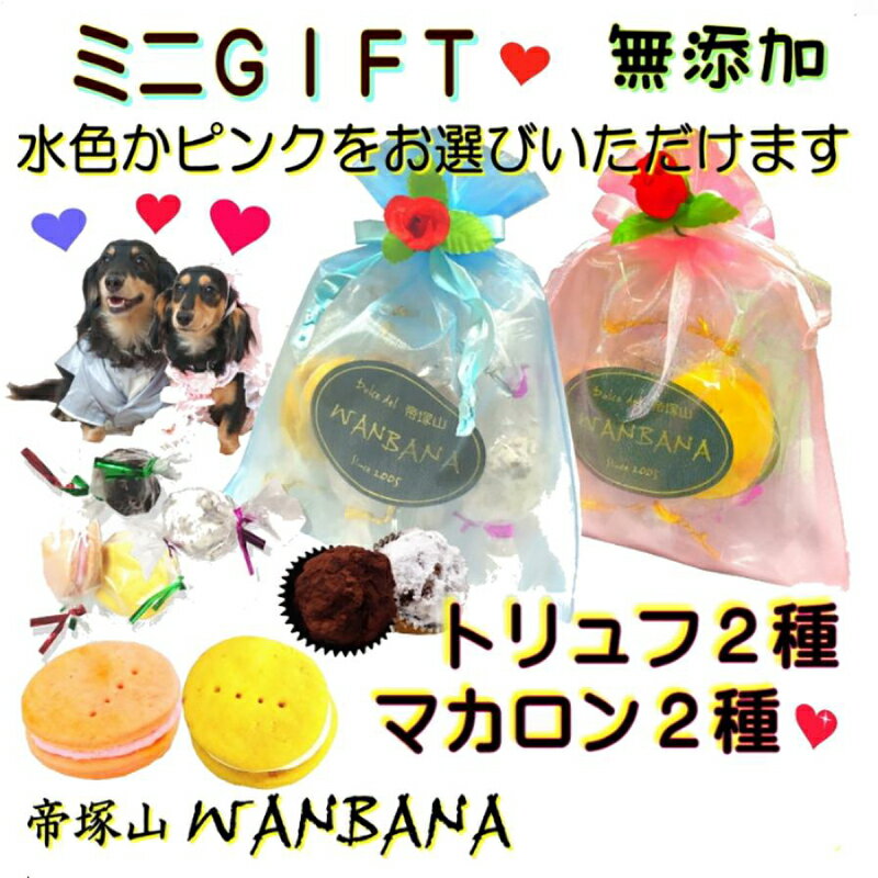犬用 バレンタイン マカロンとトリュフのミニギフト 友達のワンちゃんにかわいいお祝いフード ペット用..