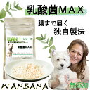 キュルキュルお腹から解放!犬猫用にサプリメント乳酸菌MAX50g 5種類のプロバイオティクス腸内環境を整える胃酸・胆汁に負けない食欲復活 毎日よく食べる幸せ ごはんにかけて腸から元気に体質改善 パピーからシニアまで 本気で命に向き合う20年間ワンバナ 無料健康相談