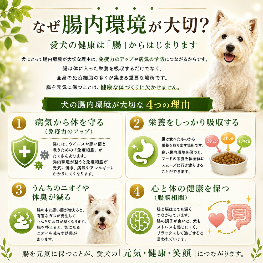 犬猫用サプリメント 乳酸菌MAX50g キュルキュルお腹から解放 5種類のプロバイオティクス腸内環境を整える胃酸・胆汁に負けない食欲復活 毎日よく食べる幸せ ごはんにかけて腸から元気に体質改善 パピーからシニアまで 本気で命に向き合う 無料健康相談 wan-plus-10000744 ペットフード WANPlus楽天市場店 サンプル画像2