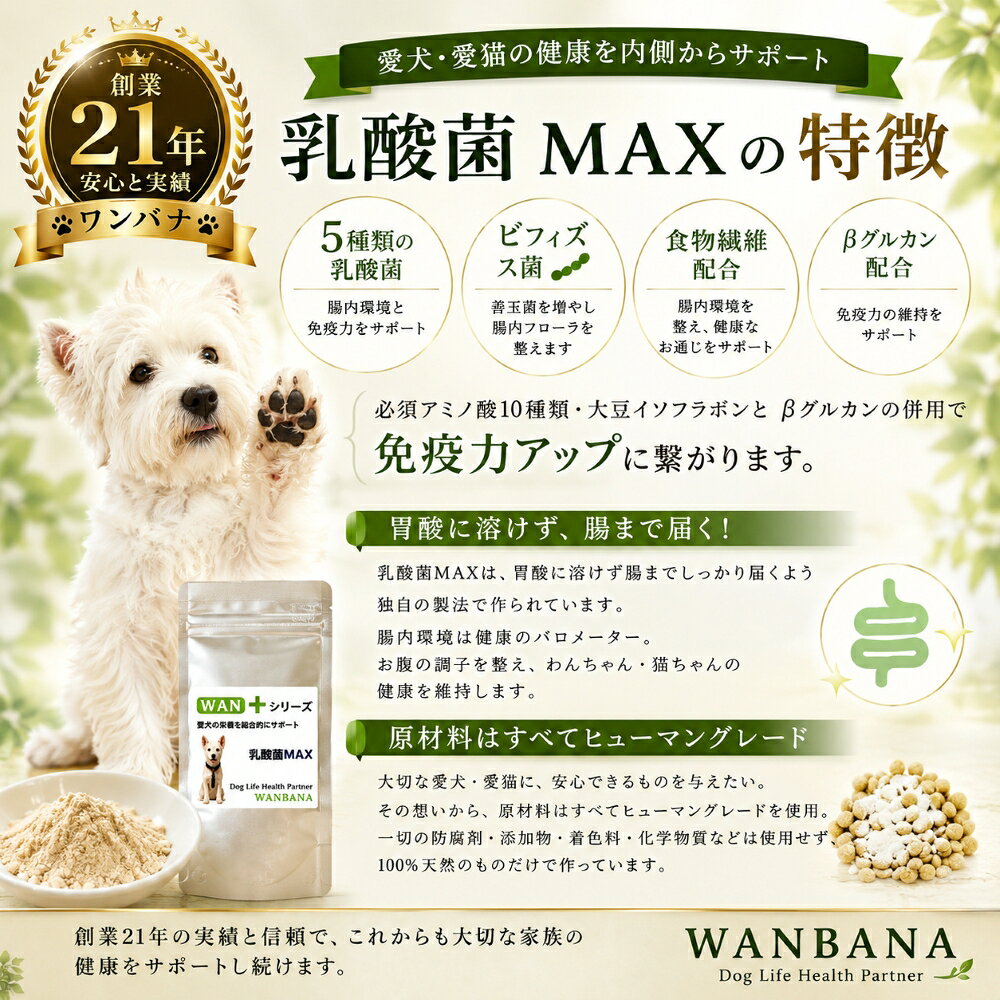 犬猫用サプリメント 乳酸菌MAX50g キュルキュルお腹から解放 5種類のプロバイオティクス腸内環境を整える胃酸・胆汁に負けない食欲復活 毎日よく食べる幸せ ごはんにかけて腸から元気に体質改善 パピーからシニアまで 本気で命に向き合う 無料健康相談 wan-plus-10000744 ペットフード WANPlus楽天市場店 サンプル画像3