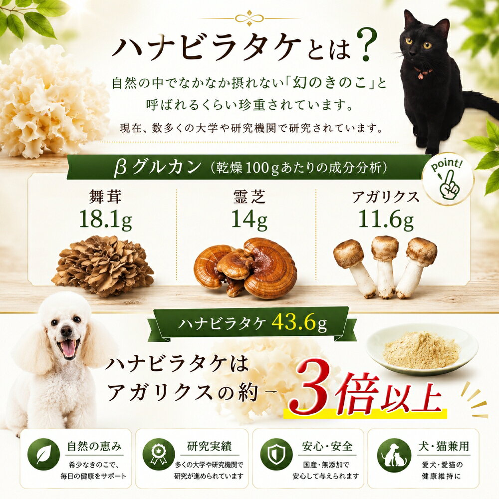 犬猫用サプリメント 希少価値！幻のきのこハナビラタケ粉末1袋30g 単品~3個セット 純はなびらたけ100％ 自然の食物で打ち勝つ力を ベーターグリカンはアガリクス茸の3倍強 食物繊維も豊富　アレルギーのわんちゃんにも パピーからシニアまで 本気で命に向き合うワンバナ wan-plus-10000743 ペットフード WANPlus楽天市場店 サンプル画像2
