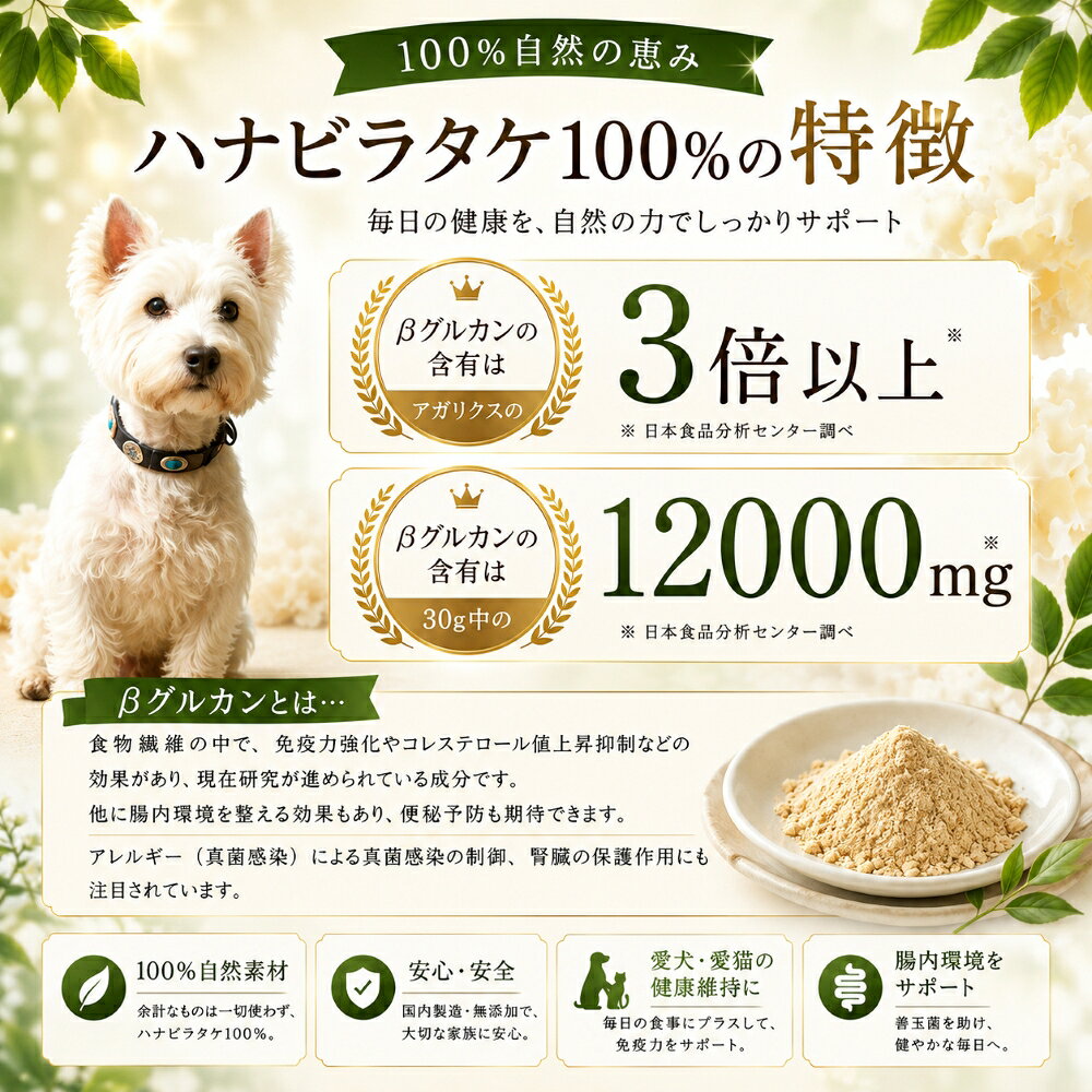 犬猫用サプリメント 希少価値！幻のきのこハナビラタケ粉末1袋30g 単品~3個セット 純はなびらたけ100％ 自然の食物で打ち勝つ力を ベーターグリカンはアガリクス茸の3倍強 食物繊維も豊富　アレルギーのわんちゃんにも パピーからシニアまで 本気で命に向き合うワンバナ wan-plus-10000743 ペットフード WANPlus楽天市場店 サンプル画像3
