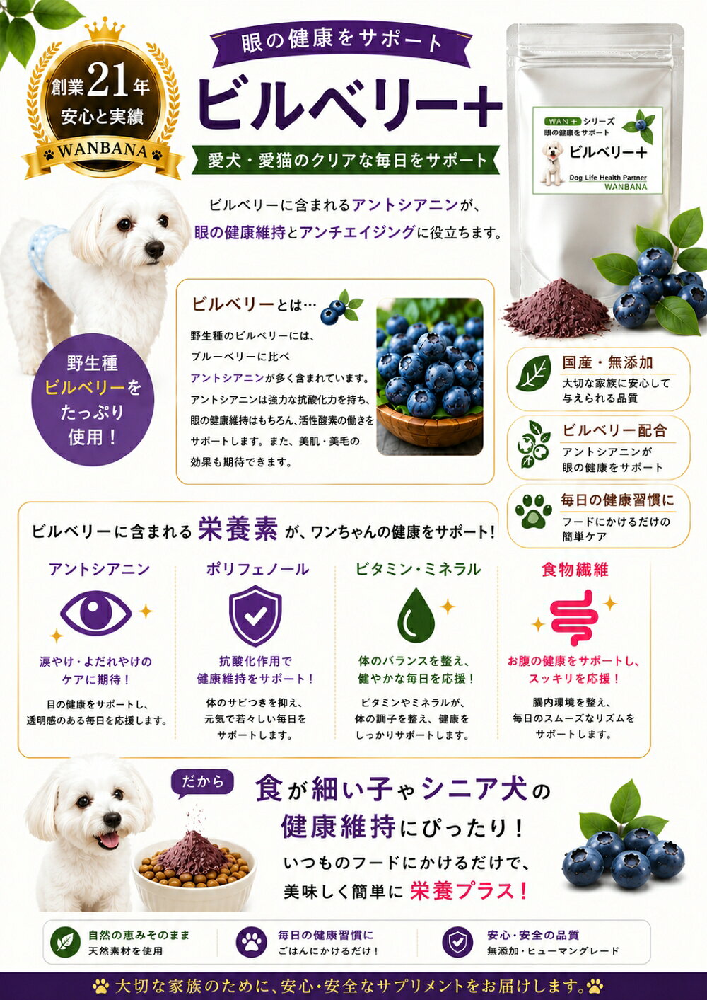 犬猫用 サプリメント ビルベリープラス1袋40g 単品～3袋セット 眼の健康！ pHコントロール ストルバイト結晶や結石に 健康なわんちゃんは美しい！涙やけ・よだれやけもキレイ 毎日よく食べる幸せ 体質改善 パピーからシニア 本気で命に向き合う ワンバナ wan-plus-10000789 ペットフード WANPlus楽天市場店 サンプル画像2