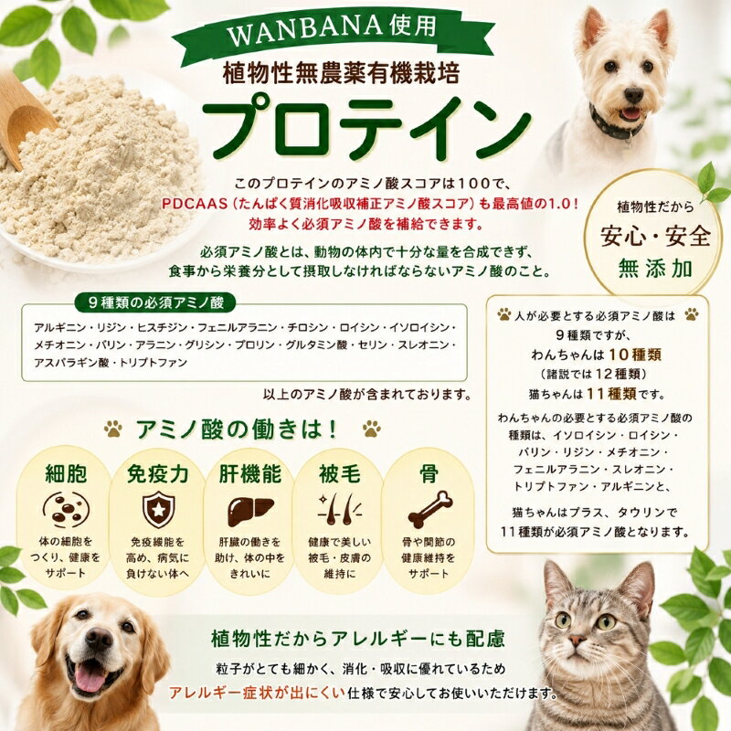 送料無料 犬用サプリメント 愛犬の健康をオールサポート WANプラス たんぱく質・乳...