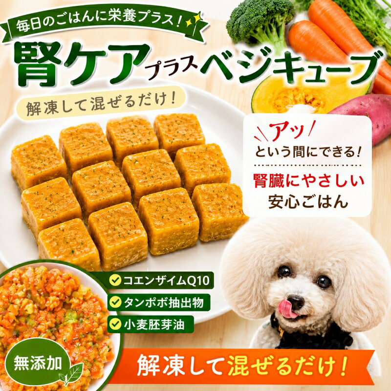 楽天市場】このこのごはん（総重量（g）500 ～ 599）の通販