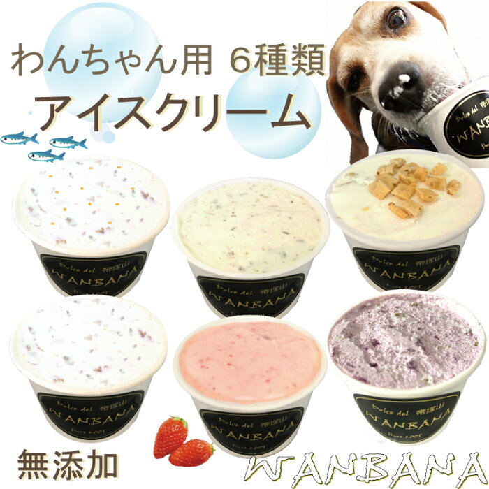 あす楽 犬用のアイスクリーム 6種類ミニサイズ40gセット （馬肉・紫芋・いちご・鹿肉・クッキークリーム・ツナ＆サーモン）無添加 小型犬用Sサイズ 暑い。熱中症対策 食欲不振 夏バテ 体温調節 ひんやり 冷たい ギフト プレゼント アレルギー対応 6600円以上送料無料