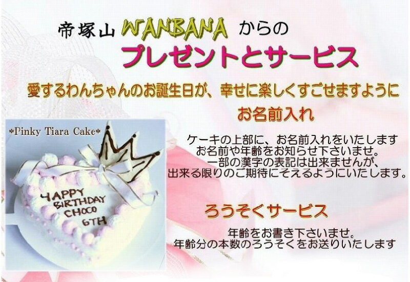 犬用の ケーキ ピンキーティアラケーキ 4号 サイズ ささみとお野菜生地 お誕生日 バースデー 無添加で安心人気 名前入れ可 おやつ お祝い ギフト 贈り物 ペット ドッグ わんこ 記念 口コミ かわいい 帝塚山ワンバナ 6600円以上送料無料 2