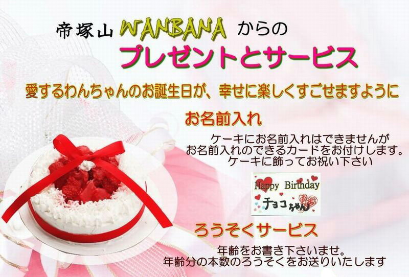 犬用のケーキスイートメモリー野菜と大山鳥生地5号誕生日に無添加で安心人気バースデー名前入れおやつお祝いオリジナル記念口コミセットかわいい小型犬えさごはんドッグフード帝塚山WANBANA