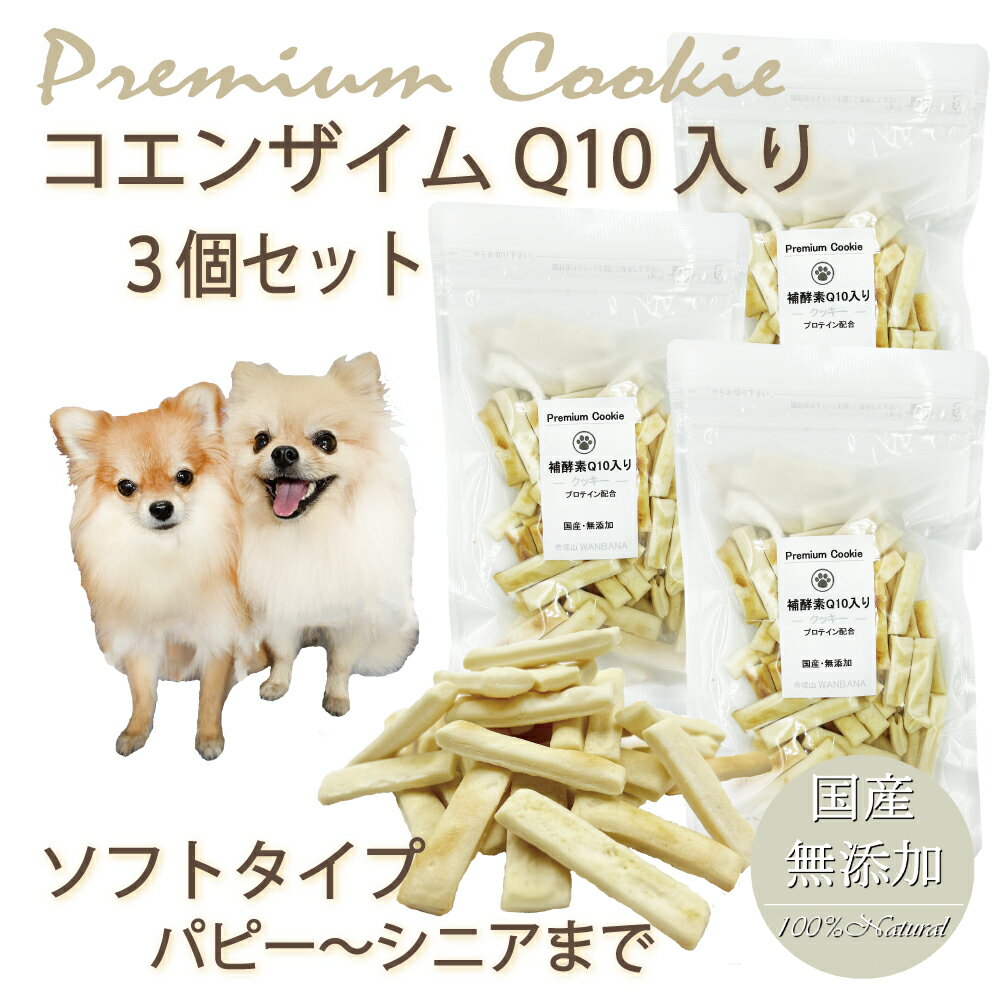 犬 おやつ 無添加 プレミアム コエンザイム Q10 3袋セット クッキー 人気 プロテイン入り 国産 手作り 補酵素 ギフト 帝塚山 WANBANA