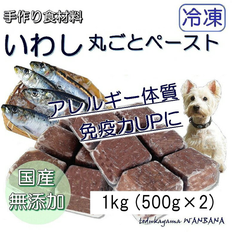 犬用厳選 包丁いらず調理済いわしペースト小分けトレー 1kg 500g 2袋 1パテ/40g 皮膚の痒み・免疫力 国産無添加 毎日続けられる価格トッピングごはんや手作り食に健康寿命をのばす命と向き合い…