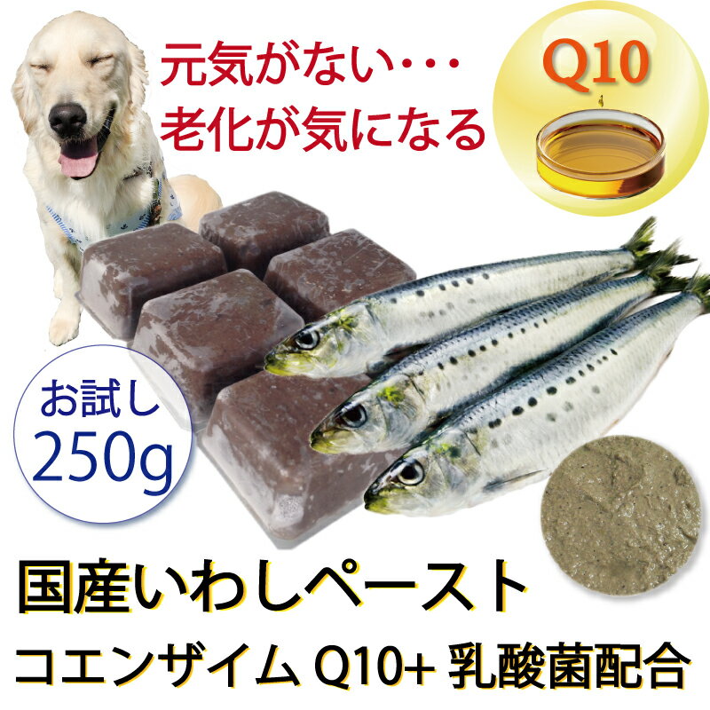 犬用厳選！包丁いらず調理済 いわしペースト&コエンザイムQ10乳酸菌250g小分けトレー 頭から尻尾や内臓まで丸ごと トッピングや手作り食 オメガ3やカルシウム豊富 涙やけやアレルギーが気になる パピーからシニア レンチンOK 命に向き合う19年間 ワンバナ無料健康相談承り中