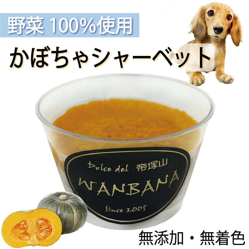 犬用のアイス かぼちゃシャーベット 80g 無添加 暑い 熱中症対策 食欲不振 夏バテ 体温調節 フルーツ 果物 野菜 ひんやり 冷たい 贈り物 ギフト プレゼント アレルギー対応 6600円以上送料無料 ワンバナ 1