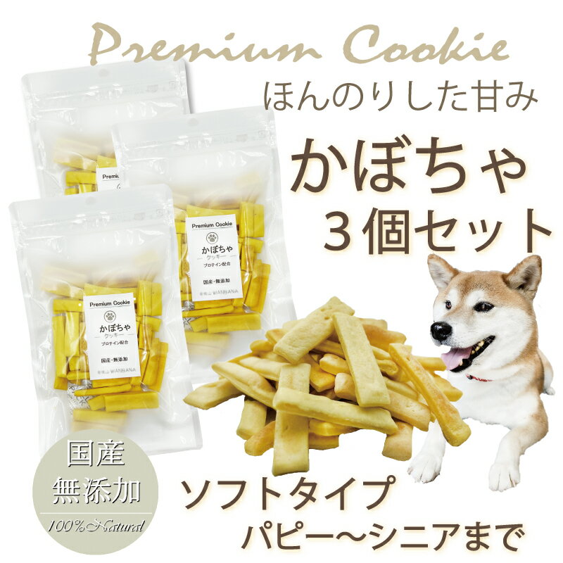 犬 おやつ 無添加 プレミアム かぼちゃのクッキー プロテイン入り　お得 3袋 セット 国産 手作り トリーツ ドッグ 人気 プレゼント 帝塚山 WANBANA ワンバナ 6600円以上送料無料