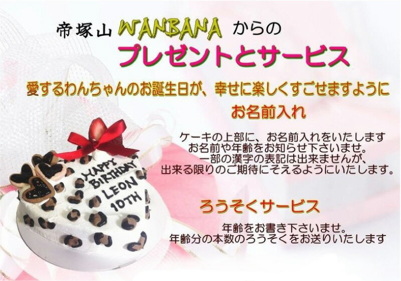 犬用の ケーキ レオパード 4号 サイズ 馬肉とお野菜生地 お誕生日 バースデー 無添加で安心人気 名前入れ可 おやつ お祝い ギフト 贈り物 ペット ドッグ わんこ 記念 口コミ かわいい 帝塚山ワンバナ 6600円以上送料無料 2