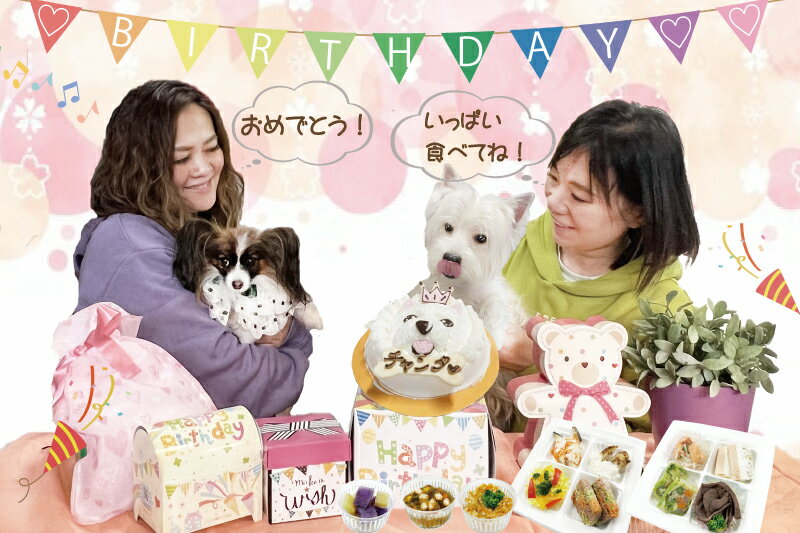 あす楽 お名前入OK! 犬用のお誕生日ケーキ プリマローズ 馬肉生地 3号直径10センチ 小さいわんちゃん食べきりサイズ 無添加安心 人気バースデーおやつギフト 小型犬 お急ぎの方 プレゼント 低カロリー シニアもおすすめ フードやごはんの代わりに 特別な記念日 ワンバナ 2