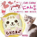 猫用のケーキ お名前入ok!Prettyニャンケーキ 大山鶏ササミ・鰹節と寒天生地 食べきり3号 無添加 ねこちゃん大好き!タンパク質たっぷりササミと風味や香り高いかつおぶしで栄養満点!低カロリー!高タンパク!アレルギー対応!お誕生日やギフト 贈り物 プレゼントにも ワンバナ