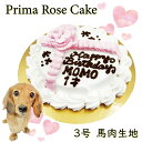 プチタルト チーズのタルトケーキ 誕生日ケーキ バースデーケーキ 犬用 ワンちゃん用 ペットケーキ (ペットライブラリー or partnerfoods)