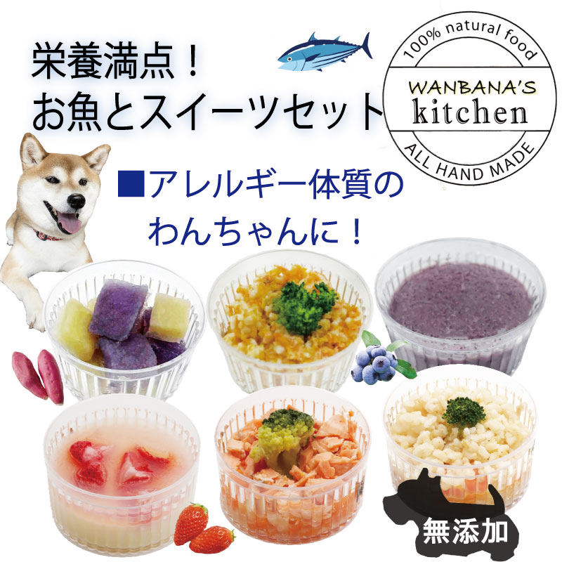 犬猫用のごはん 栄養満点 お魚とスイーツセット6種セット/ ヘルシーなごちそう 無添加 手作りフード ウェットタイプでパピー～シニアまで レンチン温めOK あす楽可能 帝塚山WANBANAワンバナ