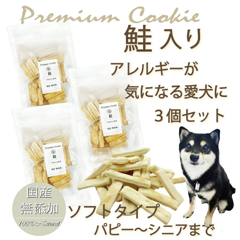 犬 おやつ 無添加 プレミアム　鮭クッキー3個セット プロテイン入り 国産 手作り トリーツ ドッグフード 人気 プレゼント 帝塚山WANBANA