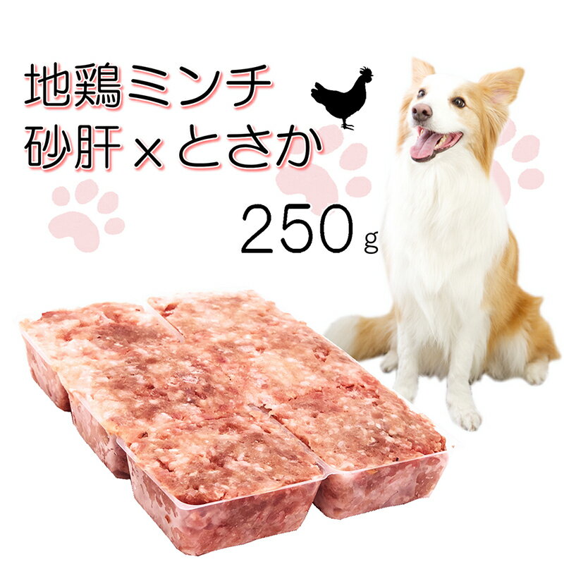 厳選食材!生きる力 犬用生地鶏ミンチ砂肝＆とさか250g小分けトレー 1パテ/40g 高タンパクで低脂肪 低リンわんちゃんよく食べる 健康に長生き 毎日続けてもらえる価格設定 トッピング手作り食材 簡単レンチンOK パピーからシニア 命に向き合う19年ワンバナ 無料健康相談承り中