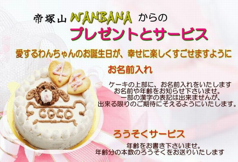 犬 ケーキ 名入れOK！アレルギー対応 うまうま ケーキ 野菜と馬肉 生地 4号 誕生日に無添加で安心人気 バースデー 名前入れ おやつ お祝い オリジナル 記念 口コミ セット かわいい 小型犬 えさ ごはん ドッグ フード 帝塚山ワンバナ