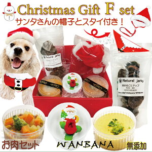 2022｜愛犬のご褒美に！人気の犬用クリスマスご飯のおすすめは？