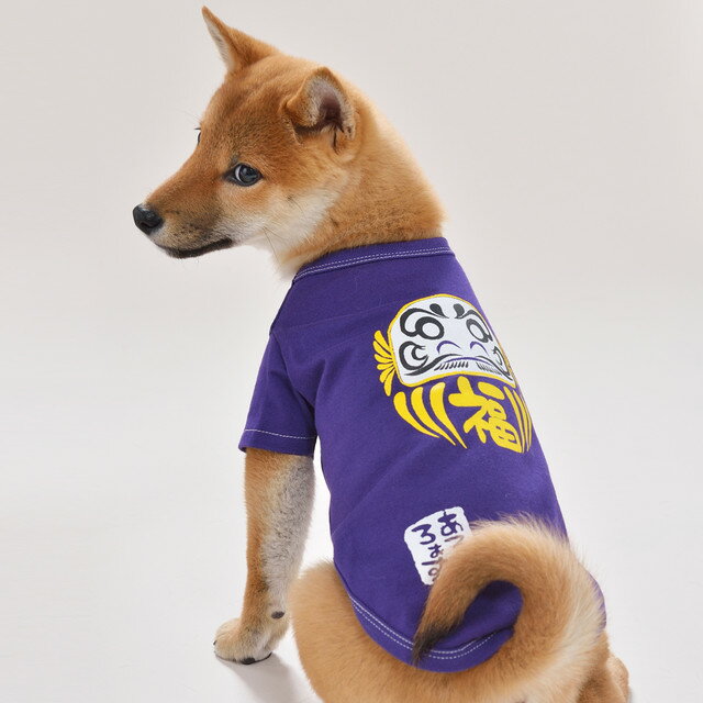 だるまさんS/M/L和風あるくろぉす犬の服 犬服 ドッグウェア トイプードル チワワ ダックス パグ