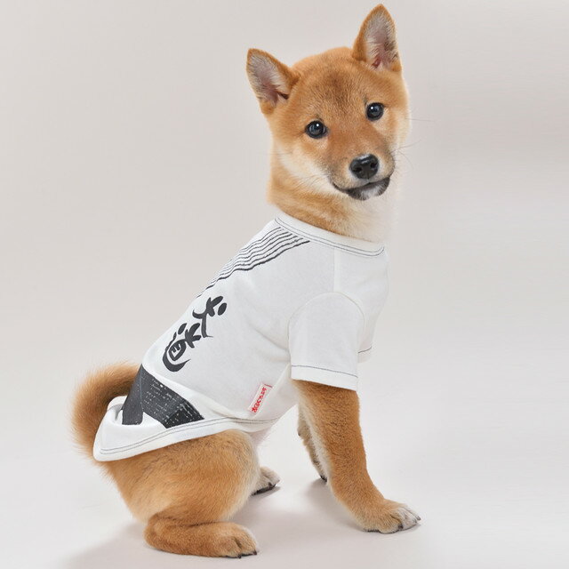 犬道着2L/3L/4L和風あるくろぉす犬の服　犬服　ドッグウェア トイプードル　チワワ　ダックス　パグ