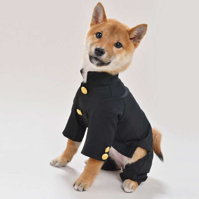 学生服2L/3L/4L和風あるくろぉす犬の服　犬服　ドッグウェア トイプードル　チワワ　ダックス　パグ