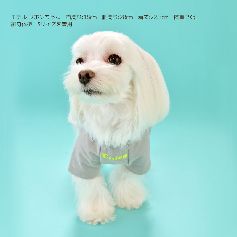 おさかなTシャツ BROWNIE'S-ブラウニーズ- S/M/L/XL(2L)/XXL(3L) 3